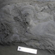 Image for article titled Big, 100-Million-Year-Old Bird Tracks Discovered in Australia
